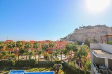 Apartamento en Denia - Ático Marina Raset