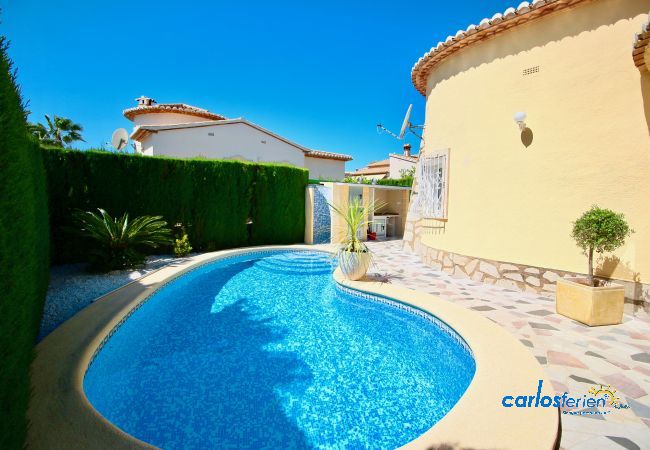 Villa en Els Poblets - Campo Olivar PM Villa en Els Poblets - Campo Olivar PM