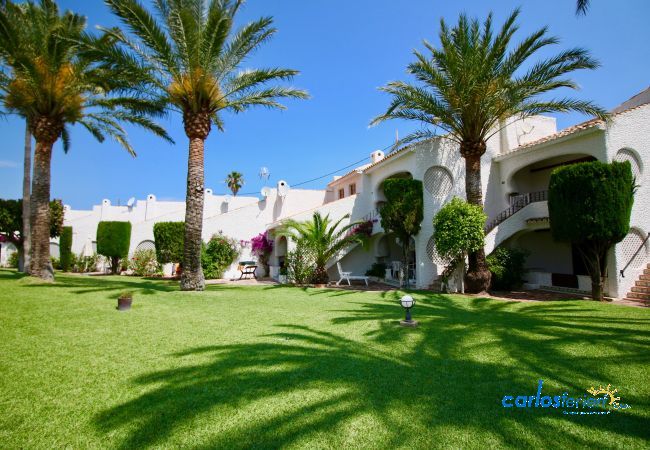 Apartamento en Denia - Las Meninas Apartamento en Denia - Las Meninas