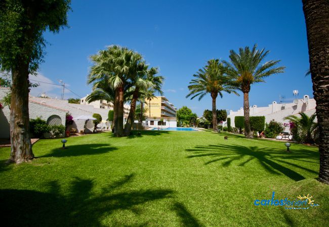 Apartamento en Denia - Las Meninas Apartamento en Denia - Las Meninas