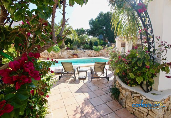 Villa en Denia - Marquesa CAMAR P4 Villa en Denia - Marquesa CAMAR P4