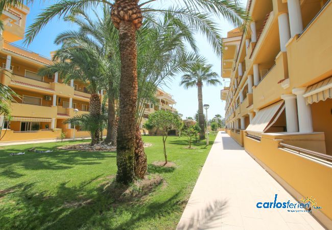 Apartamento en Denia - Ático Cascadas de Las Marinas Apartamento en Denia - Ático Cascadas de Las Marinas