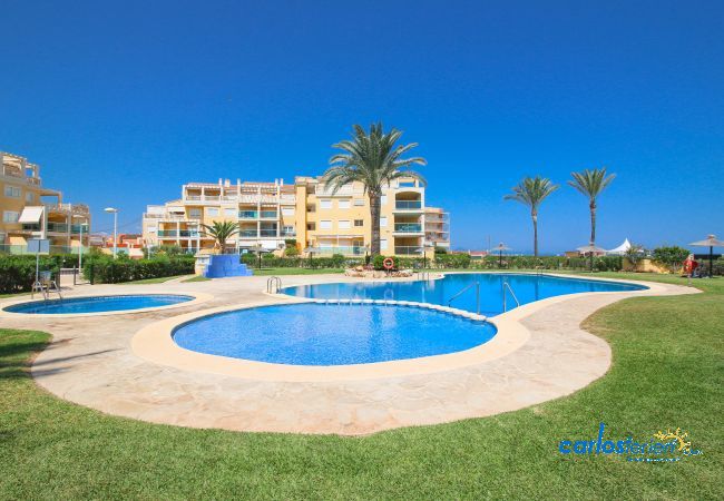 Apartamento en Denia - Residencial Marina Azul primera línea Apartamento en Denia - Residencial Marina Azul primera línea