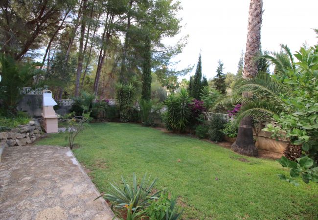 Villa in Denia - Belem AL Villa in Denia - Belem AL