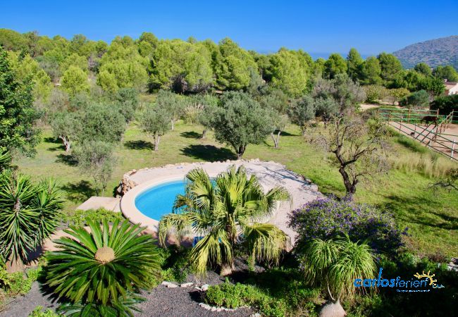 Villa in Pedreguer - La Sella KN Villa in Pedreguer - La Sella KN