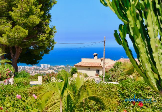 Villa in Denia - Marquesa EL Villa in Denia - Marquesa EL