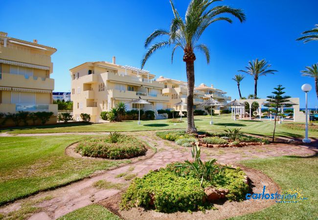 Ferienwohnung in Denia - Playa Dorada Ferienwohnung in Denia - Playa Dorada