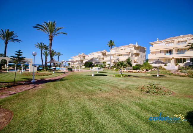 Ferienwohnung in Denia - Playa Dorada Ferienwohnung in Denia - Playa Dorada