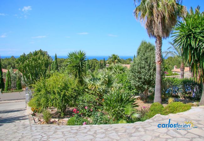 Villa in Denia - Marquesa ZI Villa in Denia - Marquesa ZI