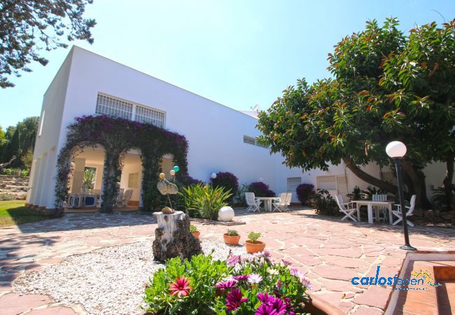 Villa in Pedreguer - Finca La Xara Villa in Pedreguer - Finca La Xara