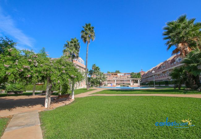 Ferienwohnung in Denia - Residencial El Paraiso II Ferienwohnung in Denia - Residencial El Paraiso II