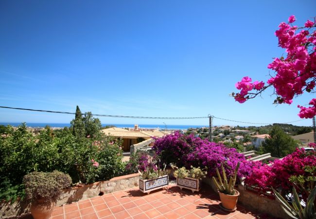 Villa in Denia - Marquesa VA Villa in Denia - Marquesa VA