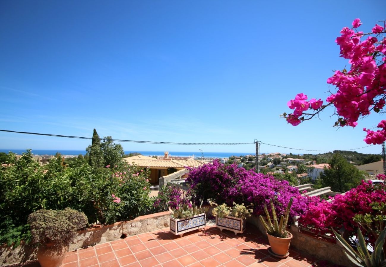 Villa in Denia - Marquesa VA Villa in Denia - Marquesa VA