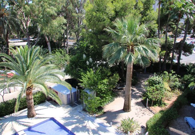 Apartment in Denia - Calma Blanca Apartment in Denia - Calma Blanca