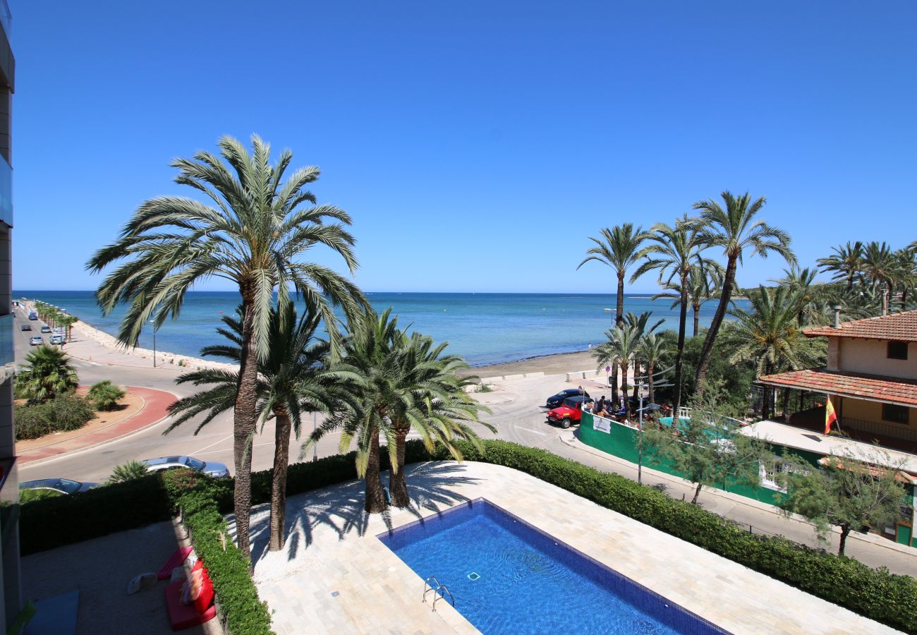 Apartment in Denia - Calma Blanca Apartment in Denia - Calma Blanca