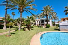 Apartment in Denia - El Poblet CA