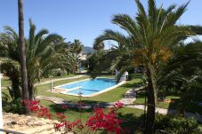 Apartment in Denia - El Poblet SP