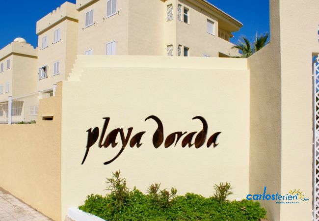 Apartment in Denia - Playa Dorada Apartment in Denia - Playa Dorada