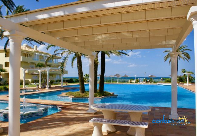 Apartment in Denia - Playa Dorada Apartment in Denia - Playa Dorada