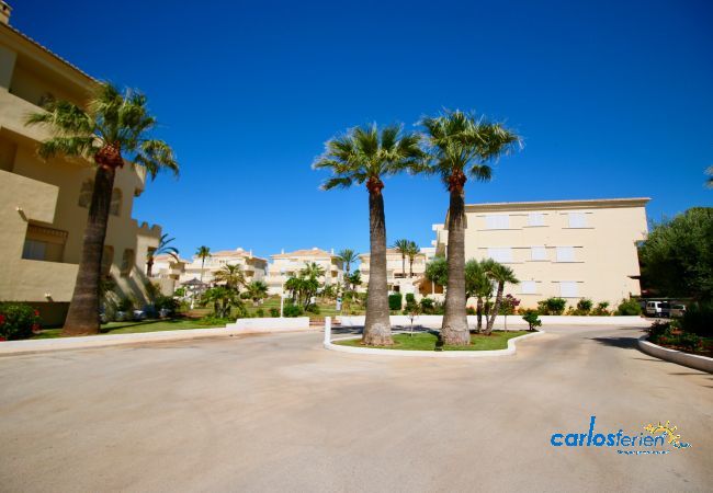 Apartment in Denia - Playa Dorada Apartment in Denia - Playa Dorada