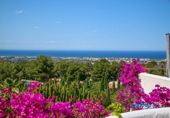 Villa in Denia - Marquesa ZI Villa in Denia - Marquesa ZI