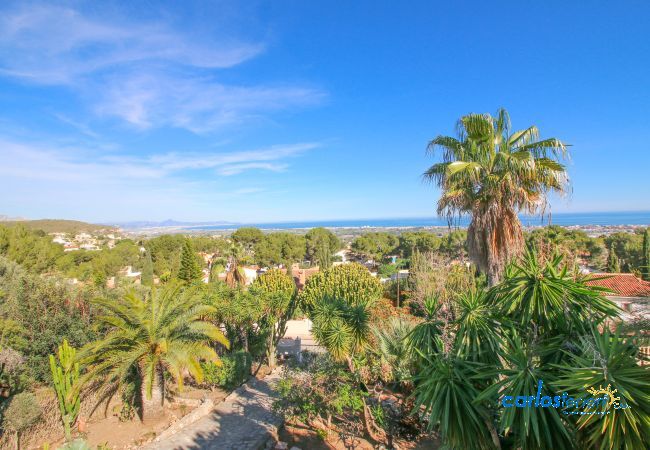 Villa in Denia - Marquesa ZI Villa in Denia - Marquesa ZI