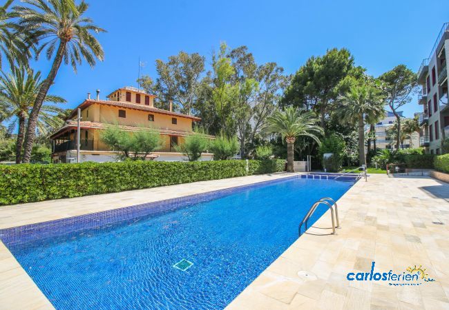 Apartment in Denia - Calma Blanca Apartment in Denia - Calma Blanca