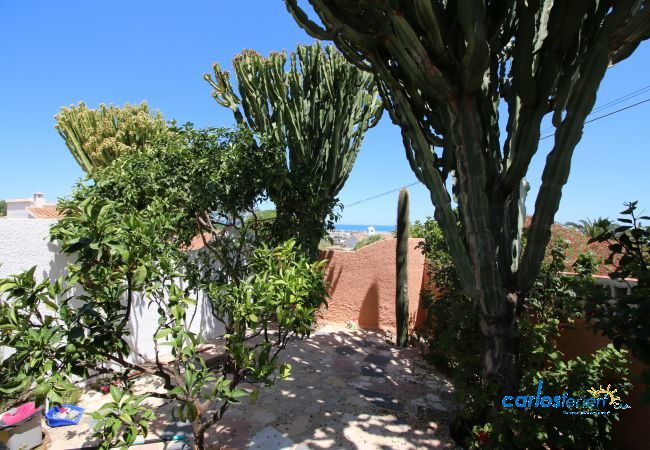 Villa à Denia - Marquesa WS Villa à Denia - Marquesa WS