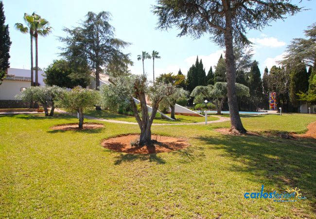 Villa à Pedreguer - Finca La Xara Villa à Pedreguer - Finca La Xara